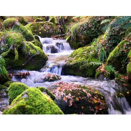 Vászonkép, vászon, kép, nyomat, nyomtatás, keret, dekor, lakberendezés, webáruház, bolt, táj, virágok, folyó, vízesés, sziklák